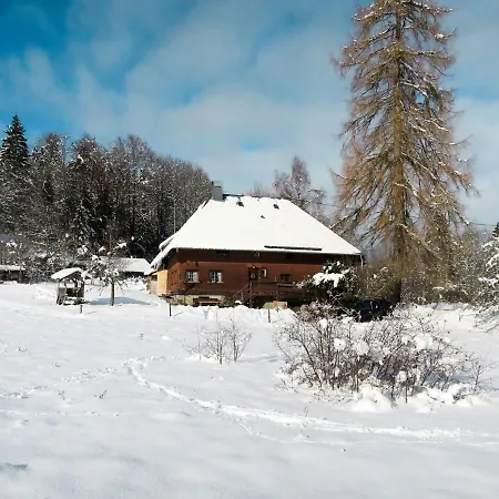 Bistenhof By Interhome Hinterzarten