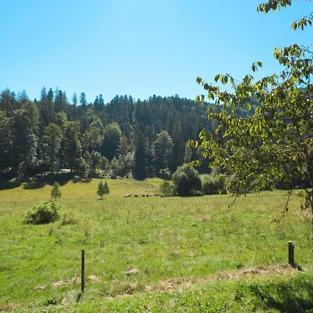 Bistenhof By Interhome Holiday home Hinterzarten