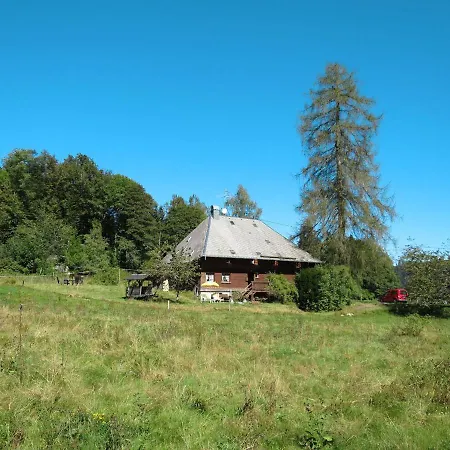 Bistenhof By Interhome * Hinterzarten